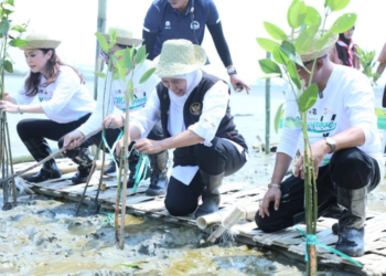Gubernur Khofifah Gelar Festival Mangrove di Romokalisari Land