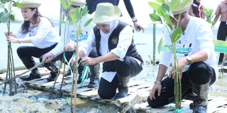 Gubernur Khofifah Gelar Festival Mangrove di Romokalisari Land
